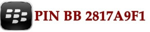 pin-bb-Slimming2