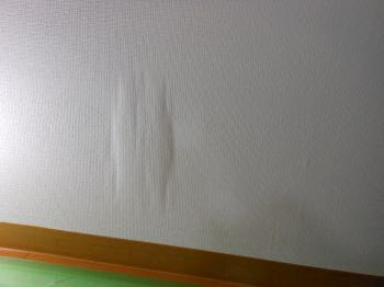 クロス ベニヤのパンク 内装屋の日記と猫話