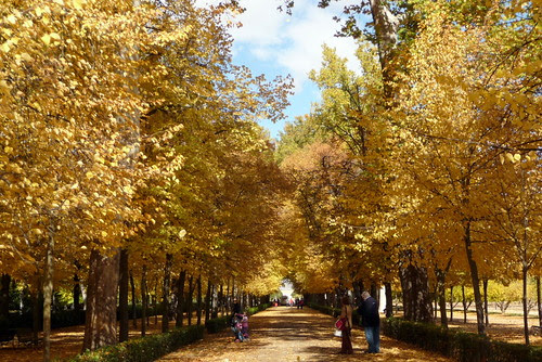 fotos de otro otoño