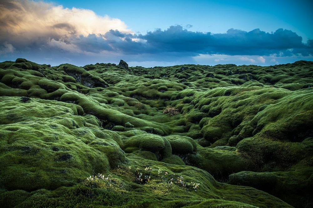 mossy-lava-fields-iceland-9
