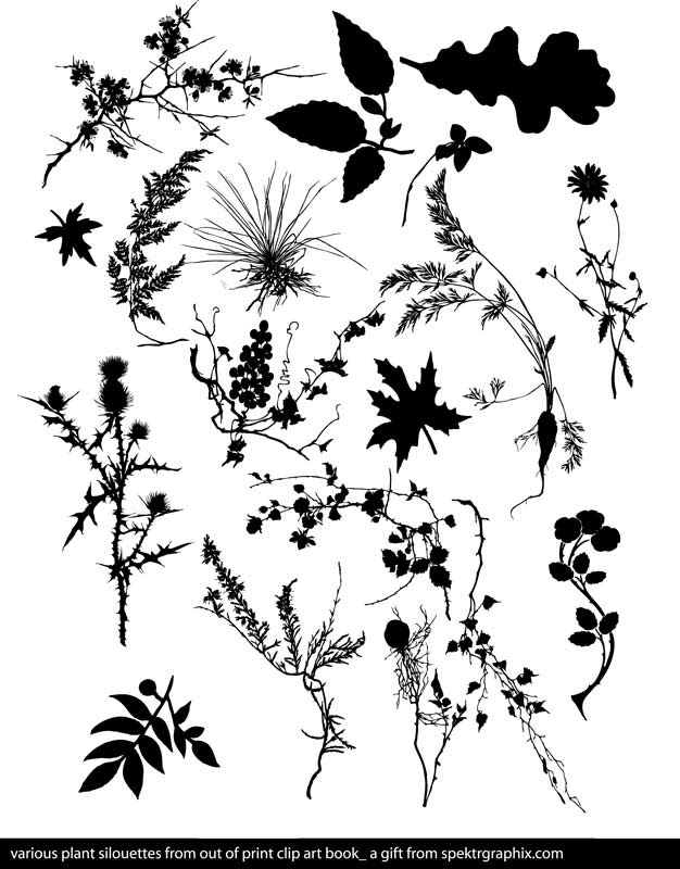 flowers clip art images. free flower clip art images.