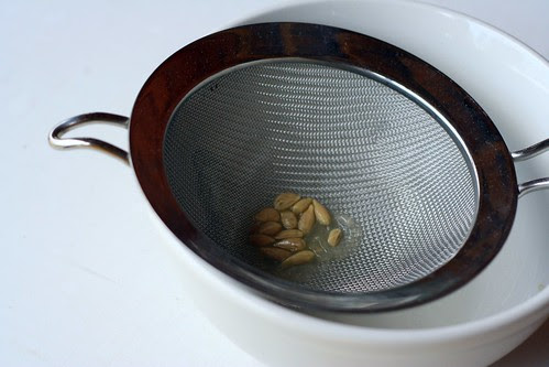 lemon seeds