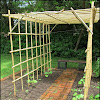 Squash Tunnel Trellis Diy