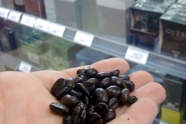 حبوب القهوة