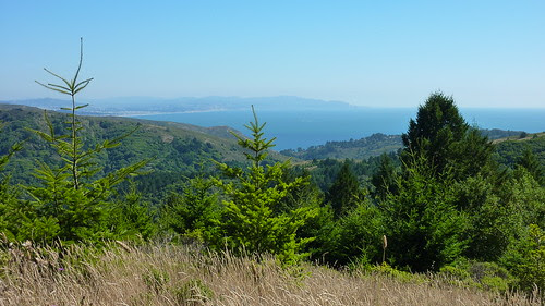 P1230281