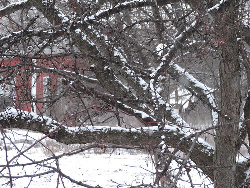 DSC00465 - Version 2