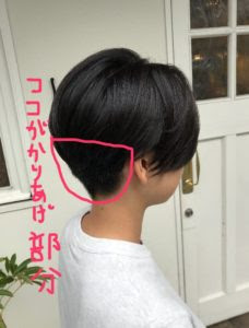 女性ショートヘアのオススメは刈り上げと２ブロック ツーブロック です 家でするやり方も紹介します 髪トレブログ