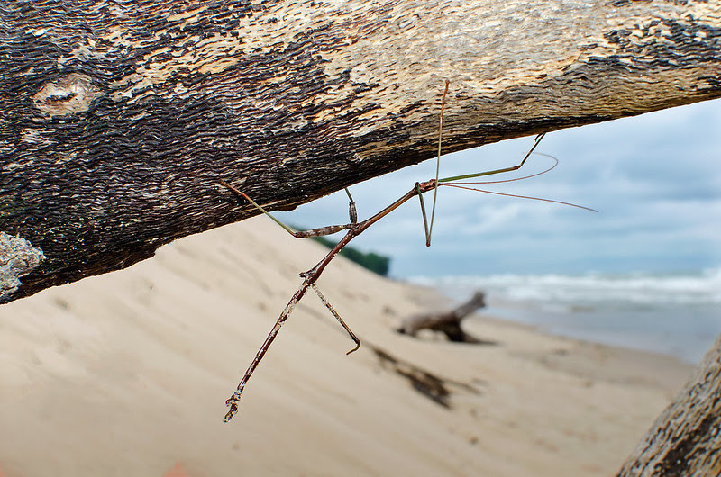 Hanging at the Beach