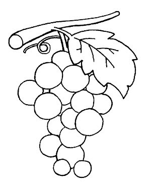 Download Fruits coloring pages | Crafts and Worksheets for ...