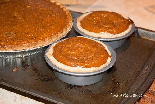 Squash Pie from Our Red Kuri Squash-1.jpg
