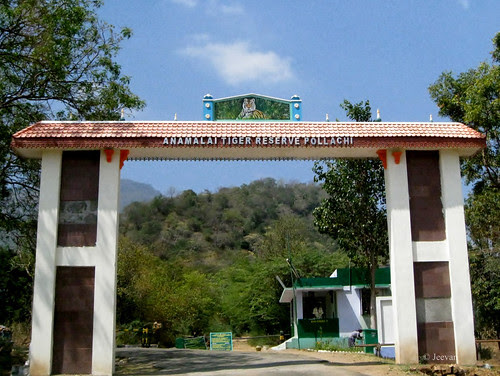 Anamalai Tiger Reserve