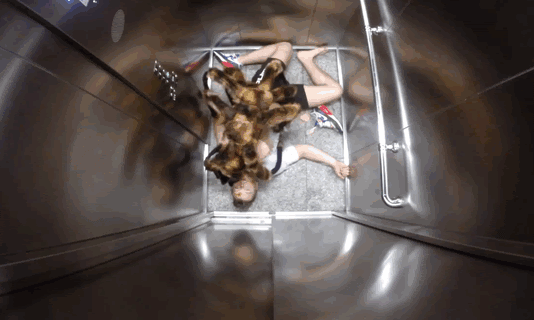 面白gif ドッキリ 驚愕 犬蜘蛛が襲ってきた 動画あり 面白ネタ帳 まとめ