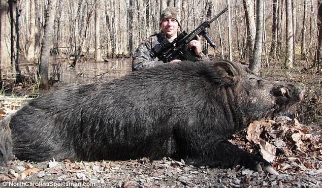 Veteran hunter Jett Webb, of Conetoe, North Carolina, bagged the beast last month using his .308 caliber rifle after baiting it for over a month