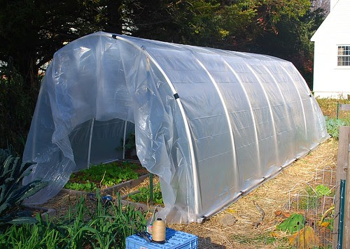 Building hoop house 9
