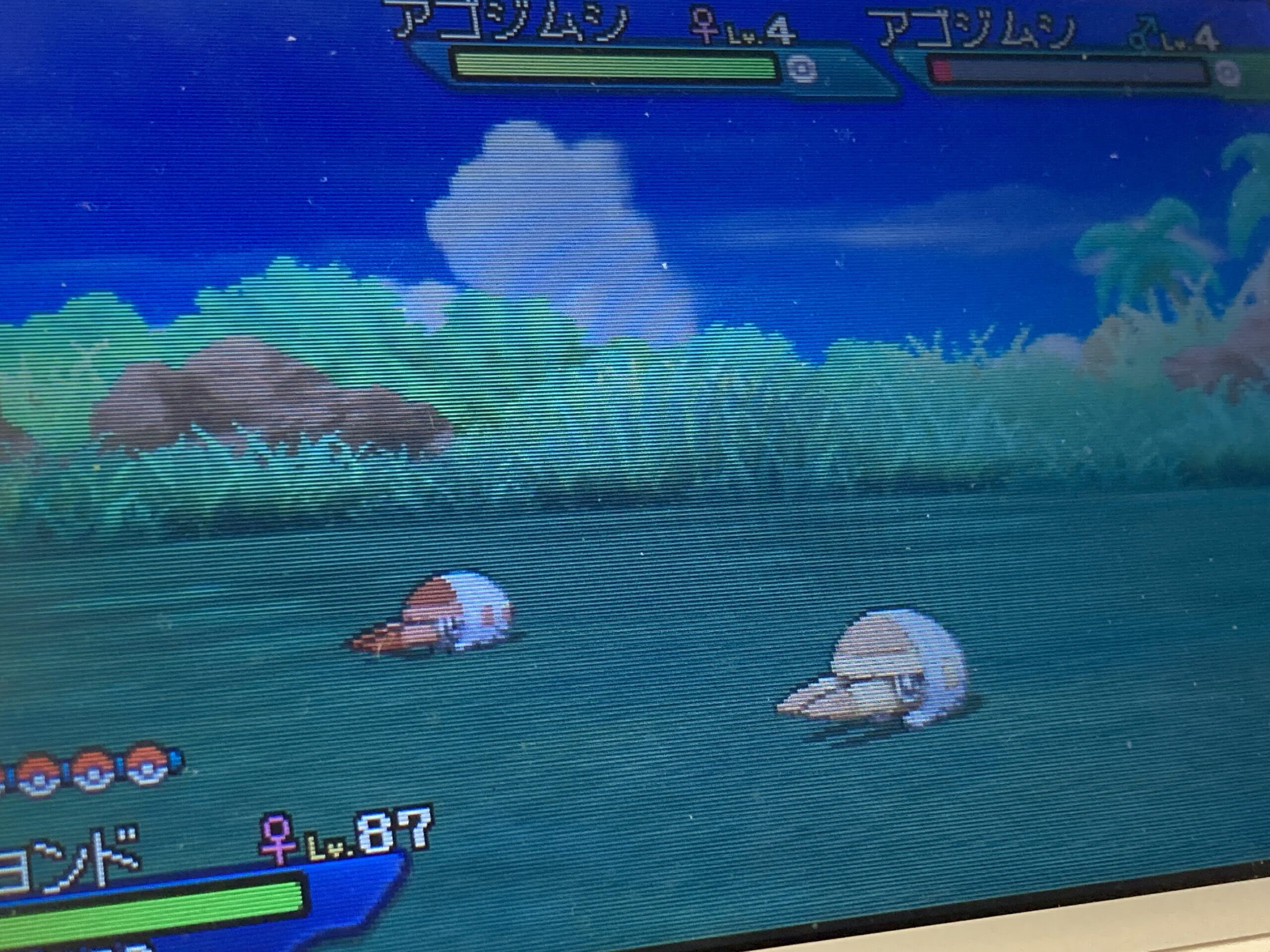 ポケモン色狂ひ ウルトラサン ムーン Usum でa連打色違い連鎖にハマった件 国家資格マニア ぬっぺふほふの日記