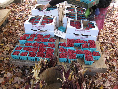 Raspberries