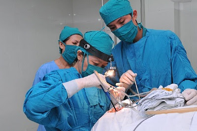 Cách chữa trị bệnh trĩ nội hiệu quả