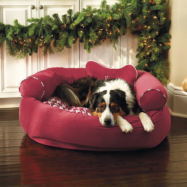 Multicolored Comfy Couch Pet Bed - Small (Up to 15 lbs ...