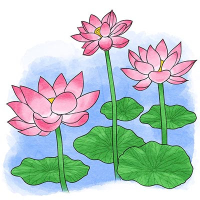 お寺やお仏壇に花を供えるのはなぜ 仏教q Aトップ ちょっと豆知識 法華宗真門流