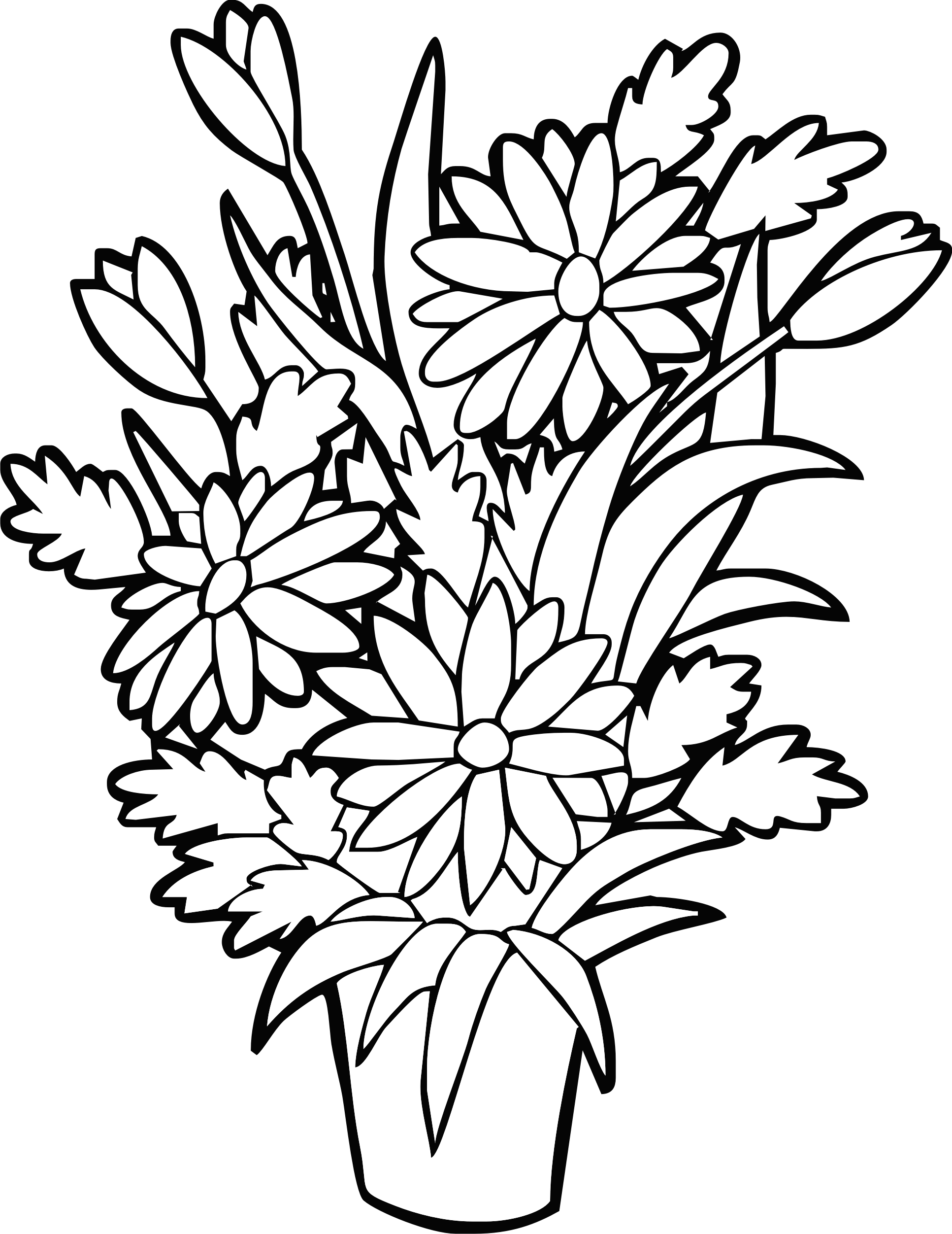 fiore6