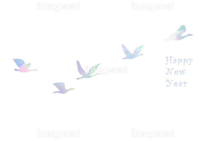 空を飛ぶ鳥 の画像素材 イラスト素材ならイメージナビ