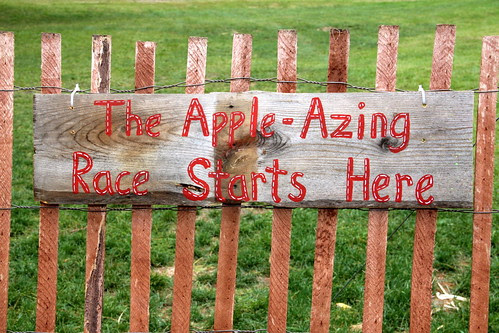 Apple-azing Race Photo's at Lapack's Orchard