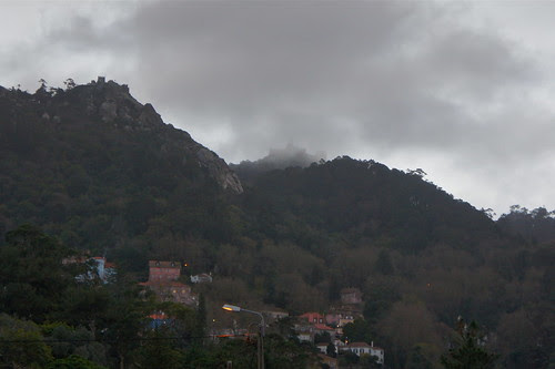 DSC05674