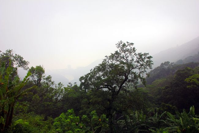  photo HKG166.jpg