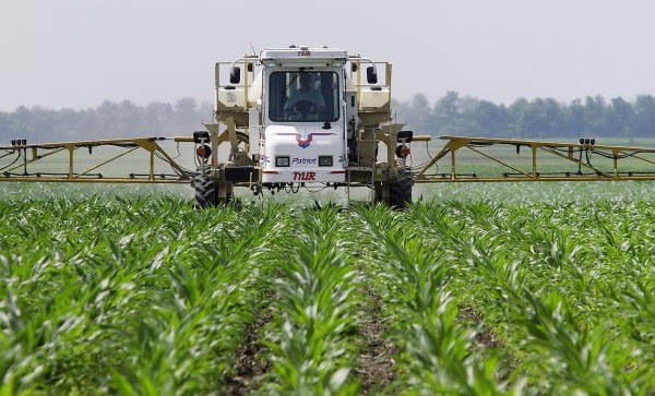 Image result for dicamba