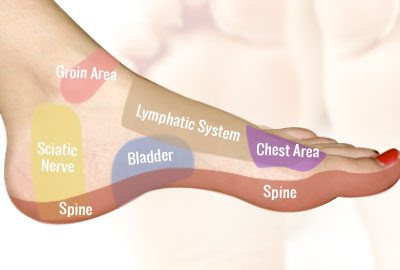 Foot Reflexology on the Inside of the Foot