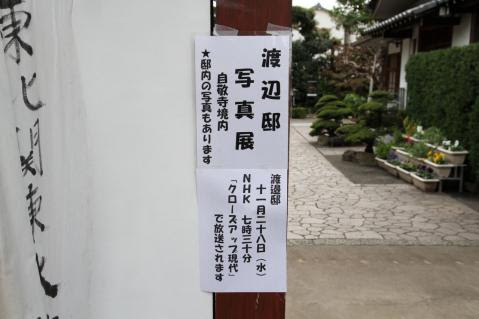 EOS_3195.jpg