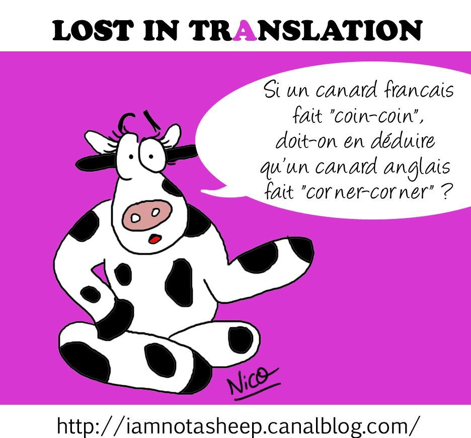 Le Mot Juste En Anglais 02 Dictionnaires Lexiques Et