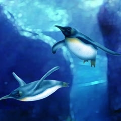 リアリズム絵画 動物の絵 動物イラスト ペンギン ペンギンの赤ちゃんたち