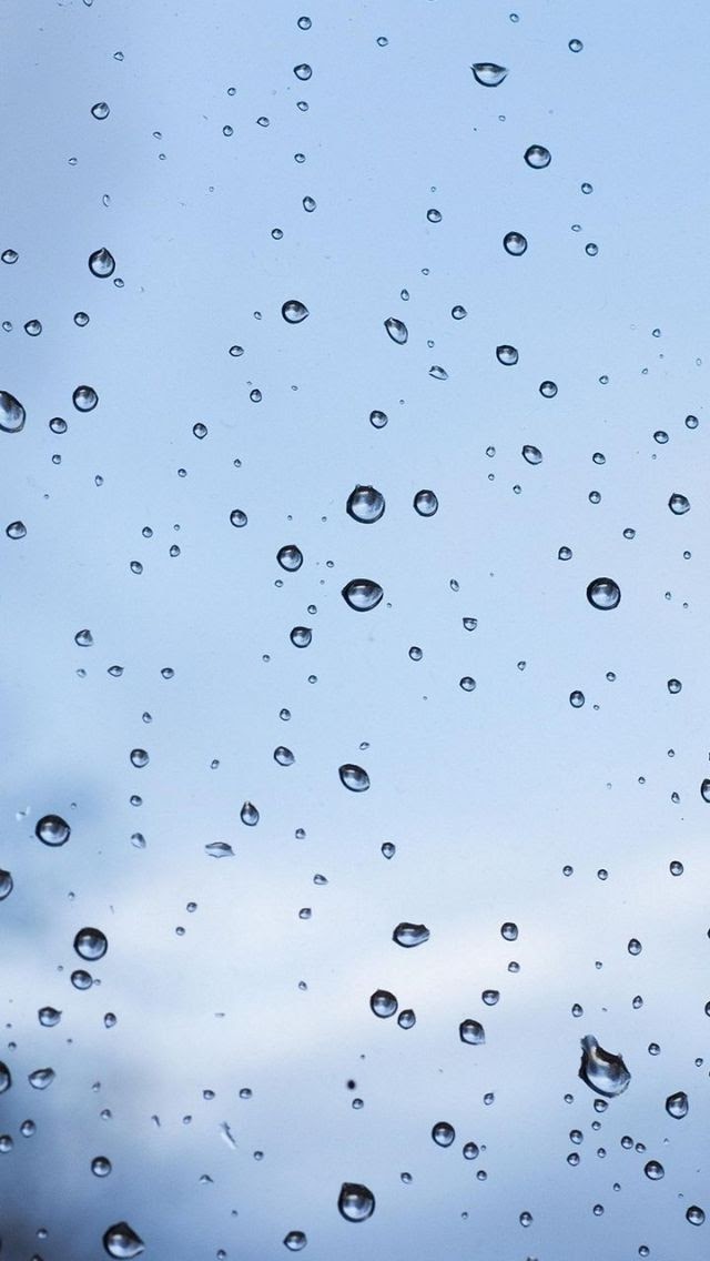 720x1680 Wallpapers