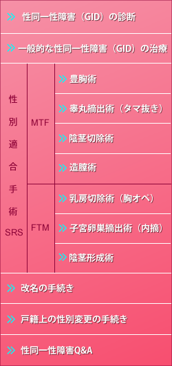 睾丸摘出術 性同一性障害の治療 フローブクリニック