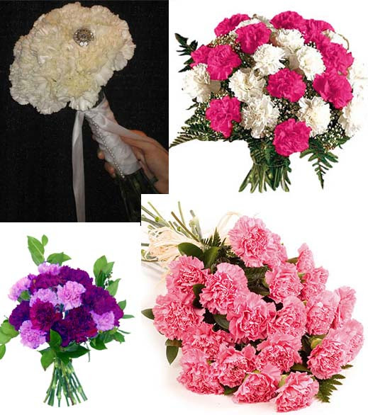 carnation bouquet