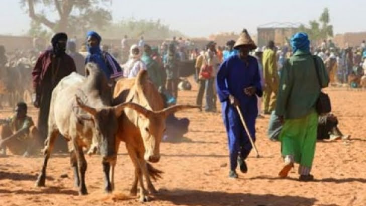 Fulani herdsmen storm Ogun to ‘settle and graze’