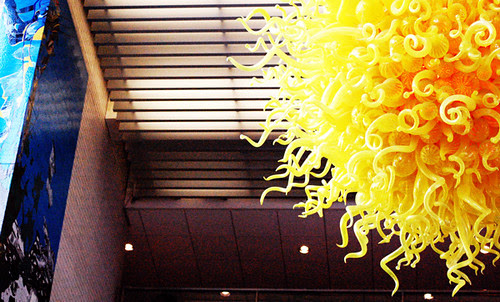 sun