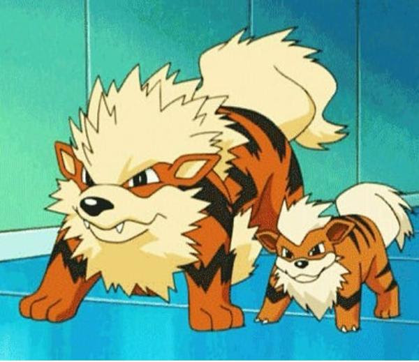 ウィンディが伝説ポケモンなのが未だに謎 アニメ漫画へのボケ ボケて Bokete
