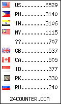 visitors by country counter