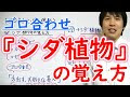 中学 理科 植物 分類 覚え方 261895-中学 理科 植物 分類 覚え方