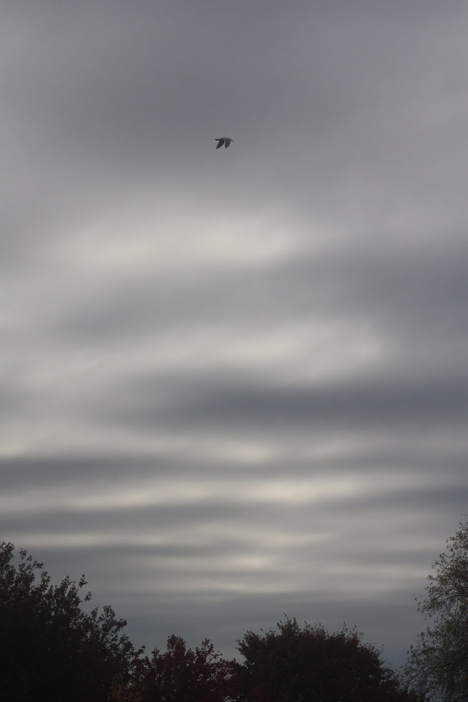 halloween sky