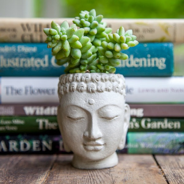 Find some inner peace with your own Buddha planter.