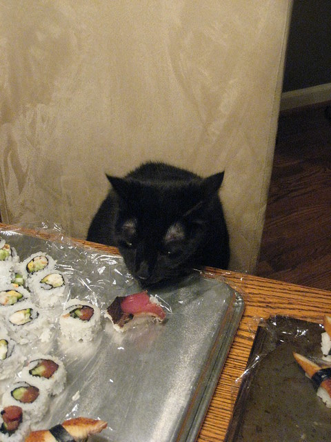 Cats Love Bonito 08 | Flickr - Photo Sharing!