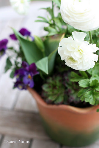 A Little Pot of Flowers