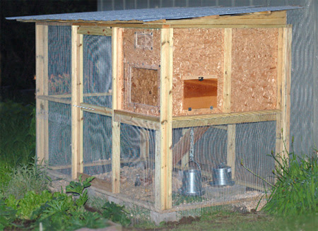 Shane reversed the slope of his Garden Coop roof (angling it down 