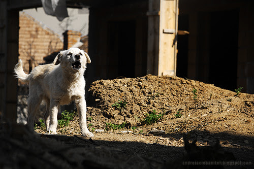 siempre peligroso (I)