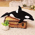 Black And White Whale - We did not find results for: