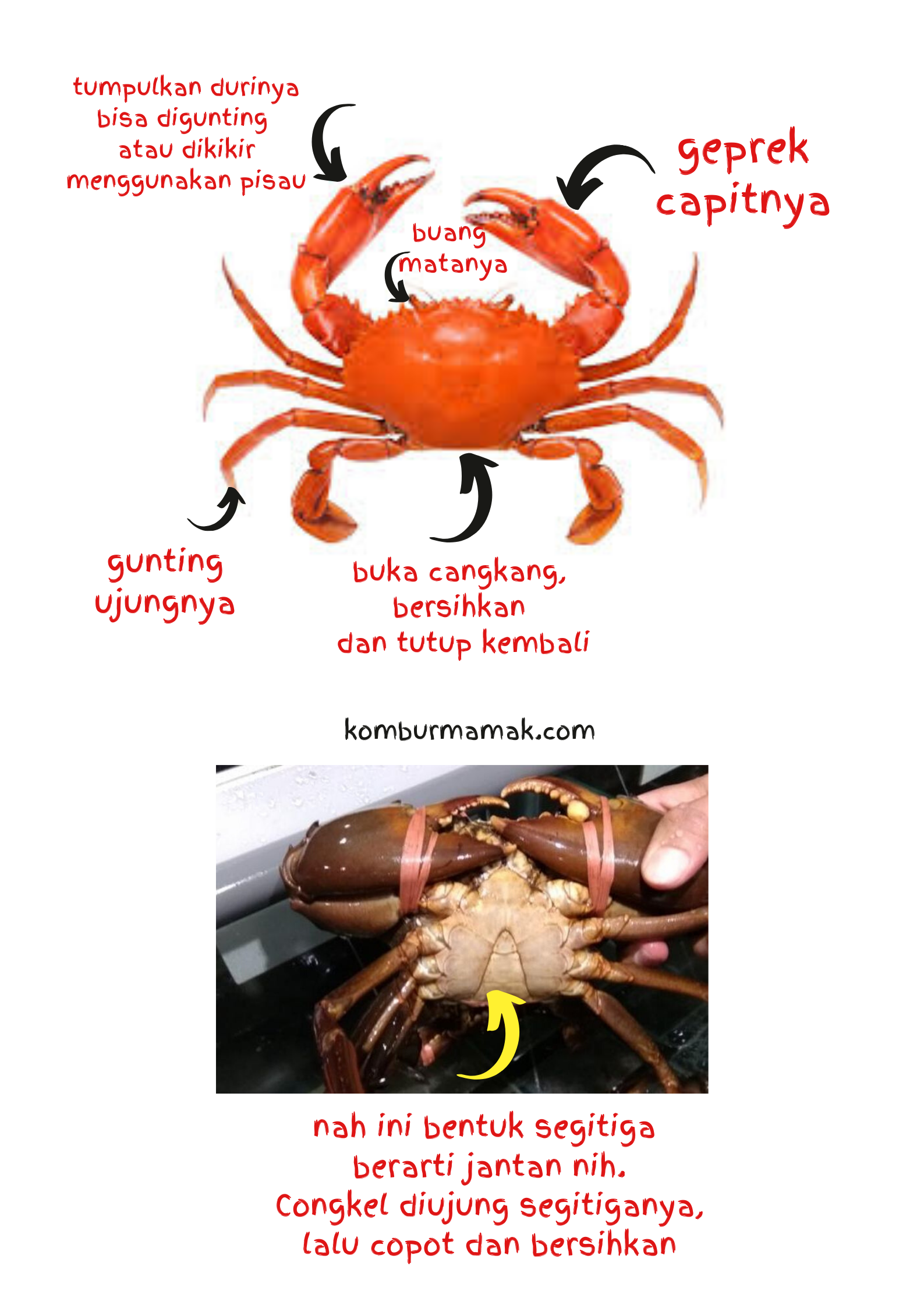 Memasak Kepiting dan Cara Membersihkannya - Happy Mommy ...