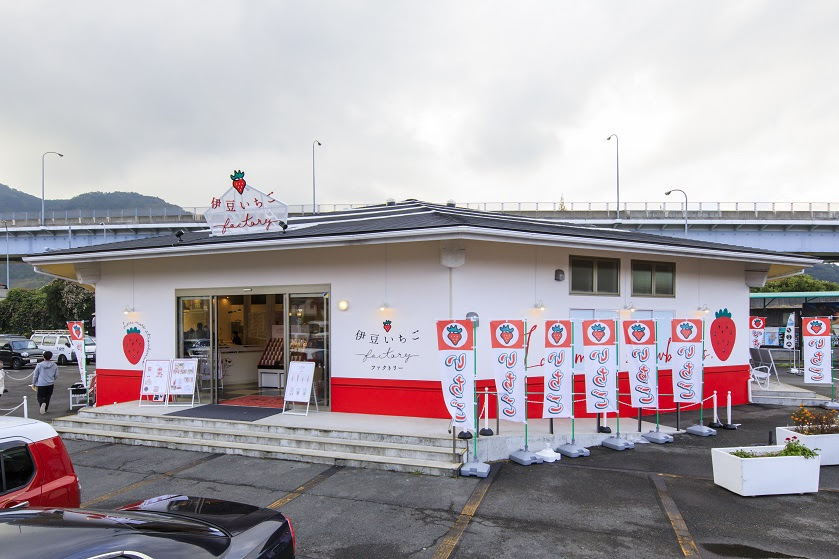 Izu Village ハローナビしずおか 静岡県観光情報